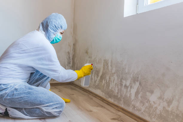 Best Residential Mold Inspection & Testing  in Newaygo, MI